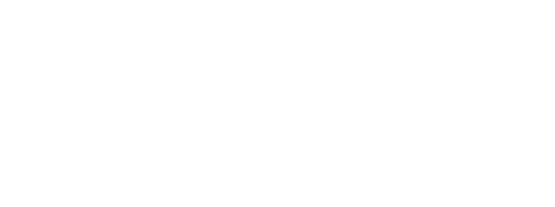 Speed Silks