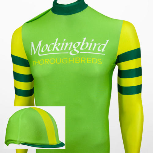 Mockingbird-500